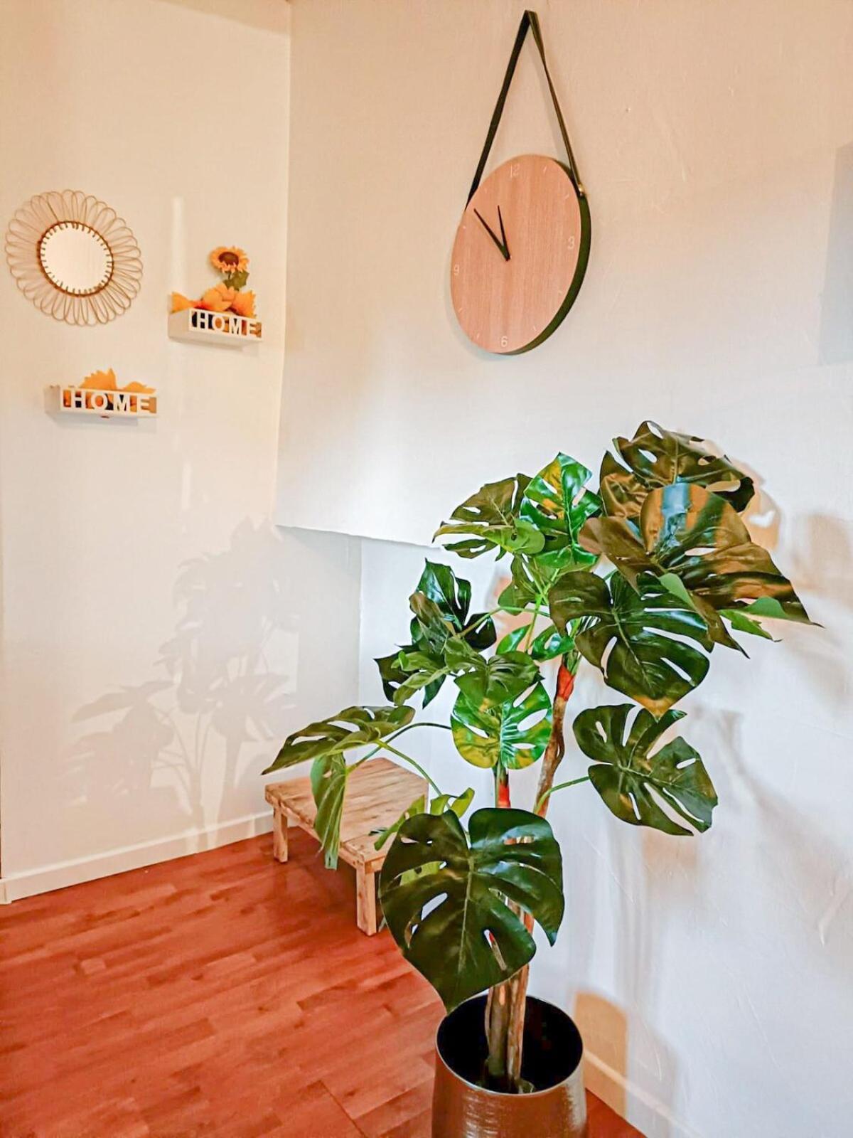 Appartement Cosy Cinta 1ch - Centre Bosquet - Quiet